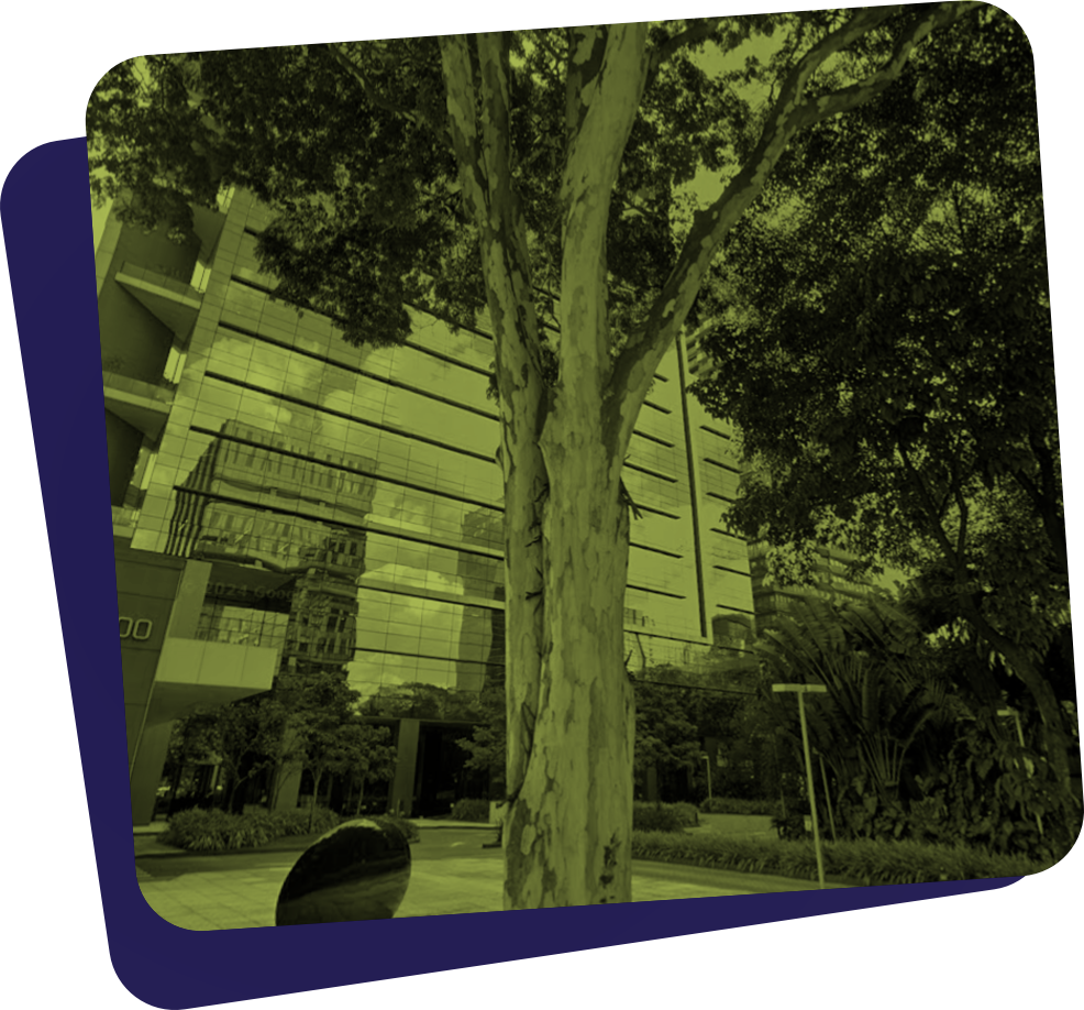 Zolver Incorporadora